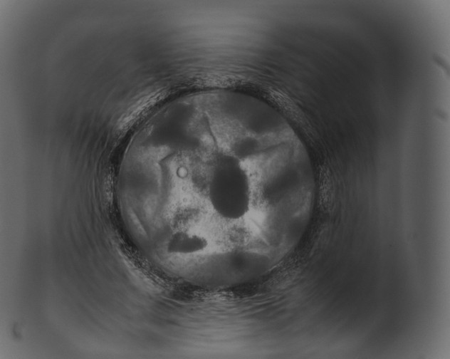 X0000100490683200807031917