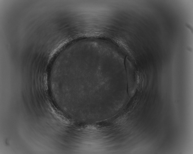 X0000100490684200807031917