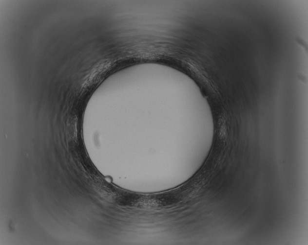 X0000100490685200807031917