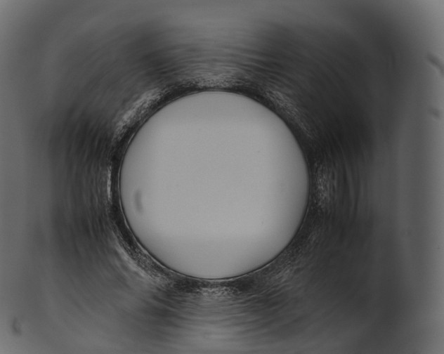 X0000100490686200807031917