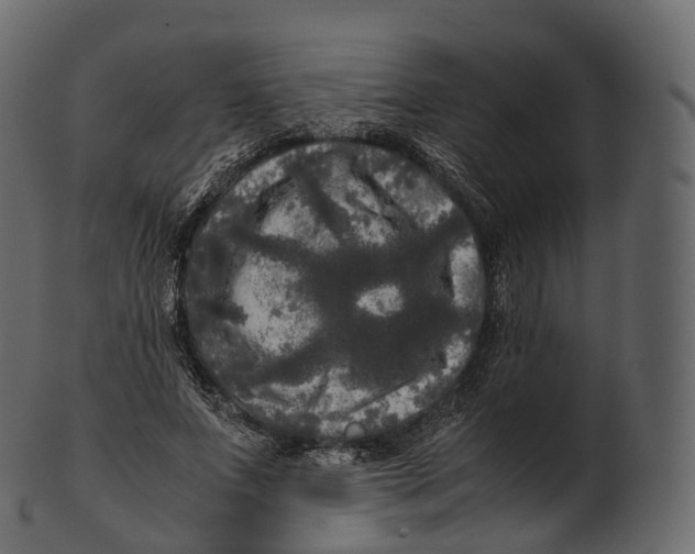 X0000100490687200807031917