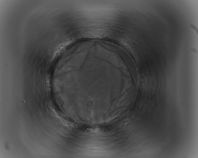 X0000100490688200807031917