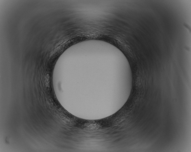 X0000100490689200807031916