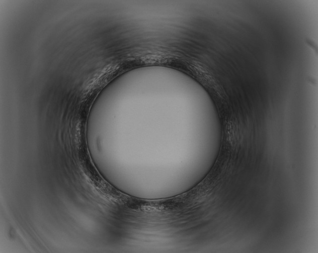 X0000100490690200807031916