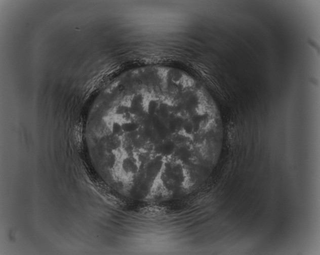 X0000100490691200807031916