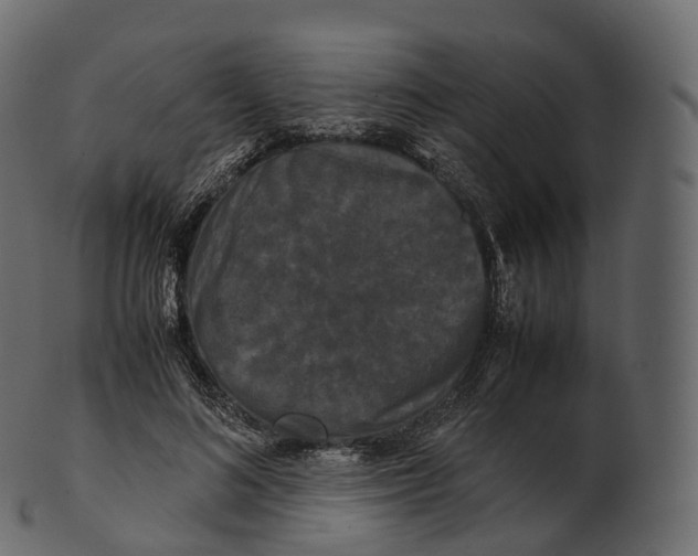 X0000100490692200807031916