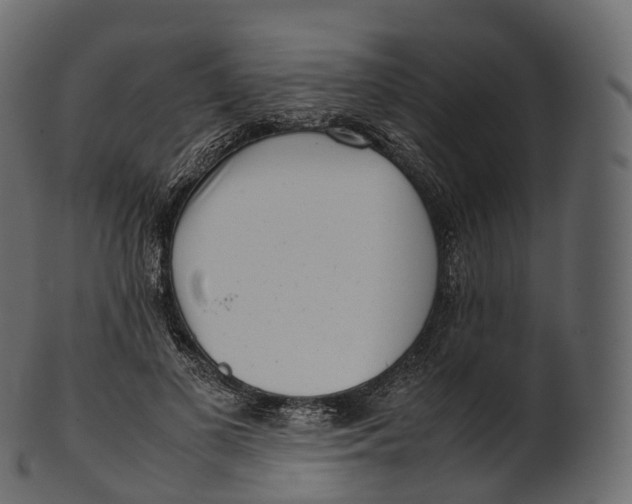 X0000100490693200807031916