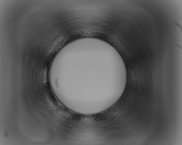 X0000100490694200807031916