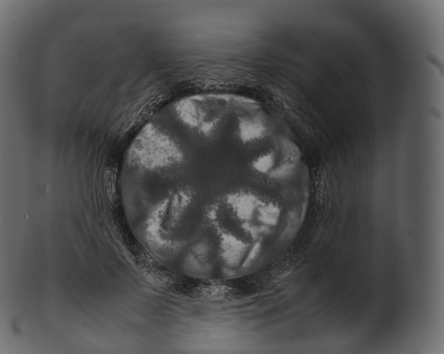 X0000100490695200807031916