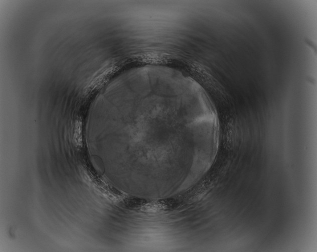 X0000100490696200807031916