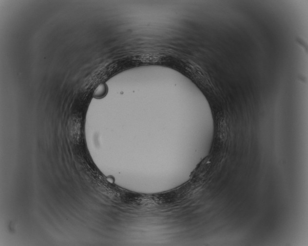 X0000100490697200807031916