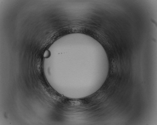 X0000100490698200807031916