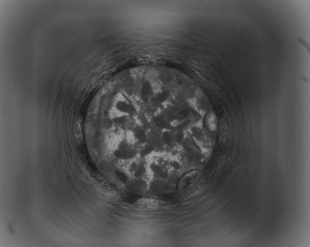 X0000100490699200807031916