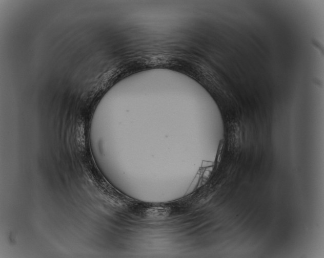 X0000100490700200807031916