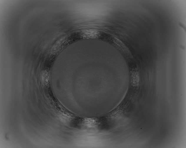 X0000100490701200807031916