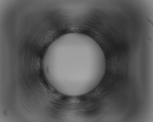 X0000100490702200807031916