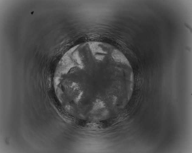 X0000100490703200807031916