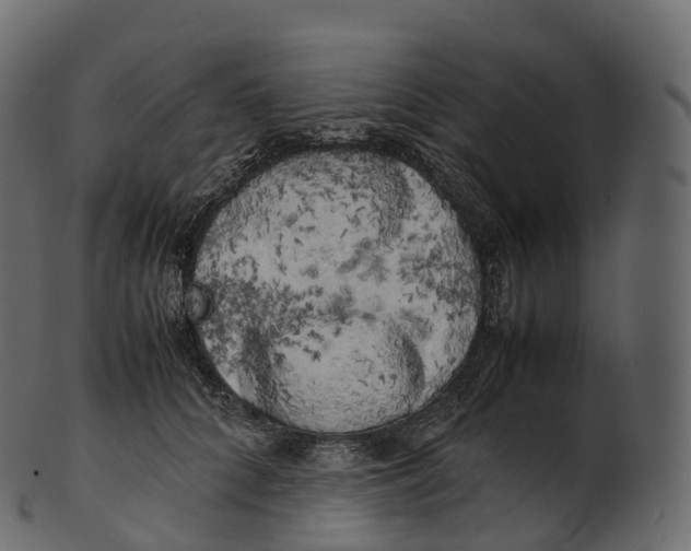 X0000100490704200807031916