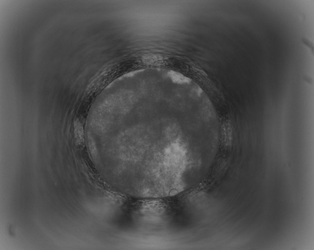 X0000100490705200807031916