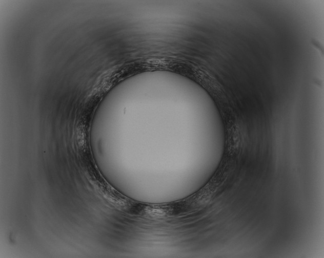 X0000100490706200807031916