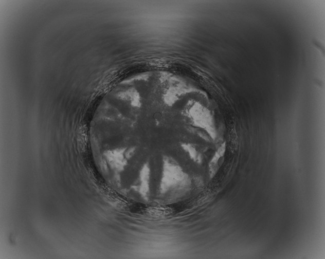 X0000100490707200807031916