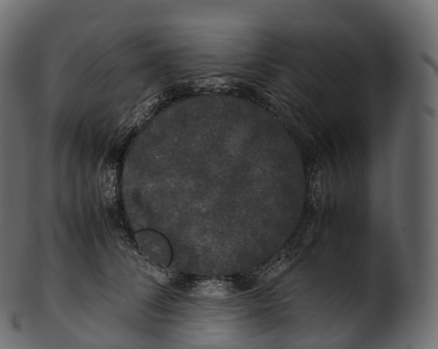 X0000100490708200807031916