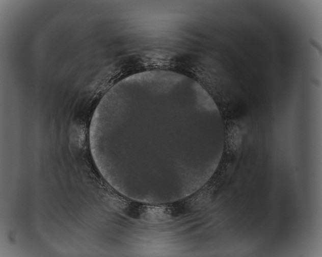 X0000100490709200807031916