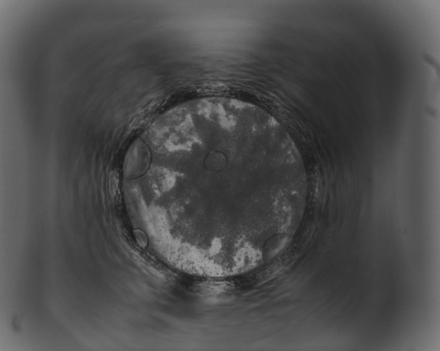 X0000100490711200807031916