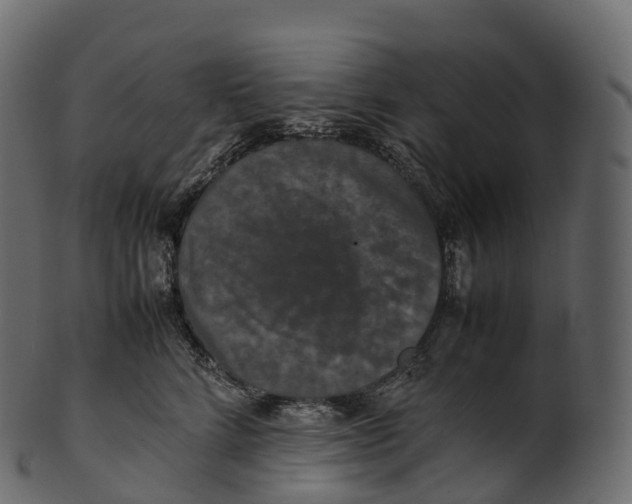 X0000100490712200807031916