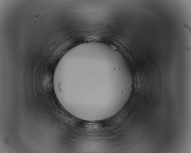 X0000100490714200807031916