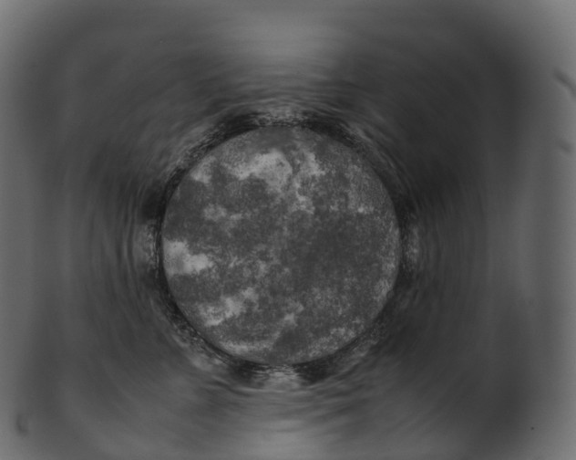 X0000100490715200807031916