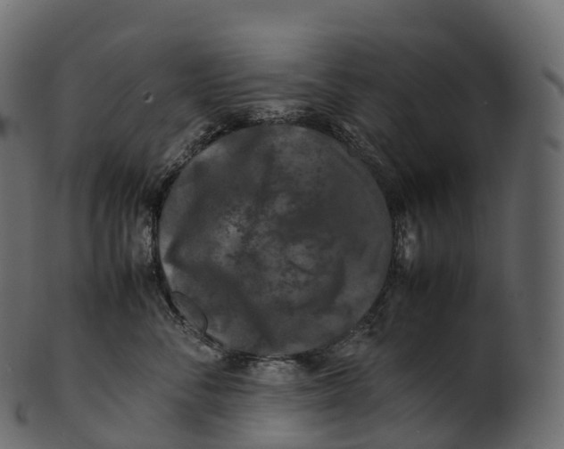 X0000100490716200807031916