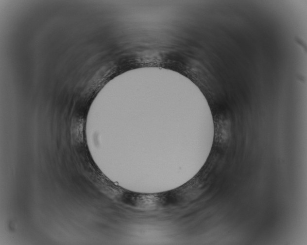 X0000100490717200807031916