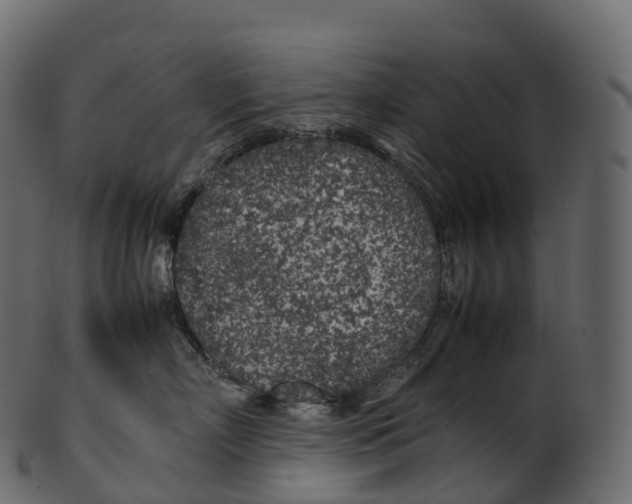 X0000100490718200807031916