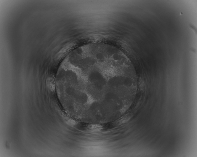 X0000100490719200807031916