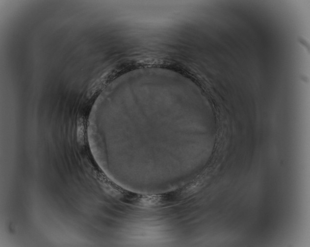 X0000100490720200807031916