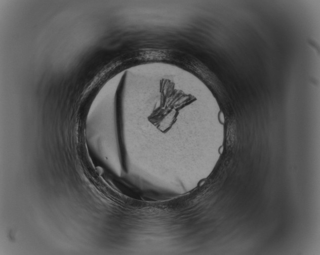 X0000100490722200807031915