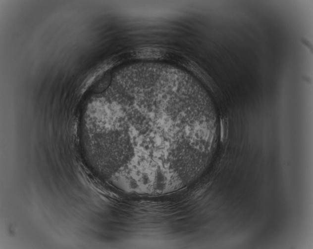 X0000100490723200807031915