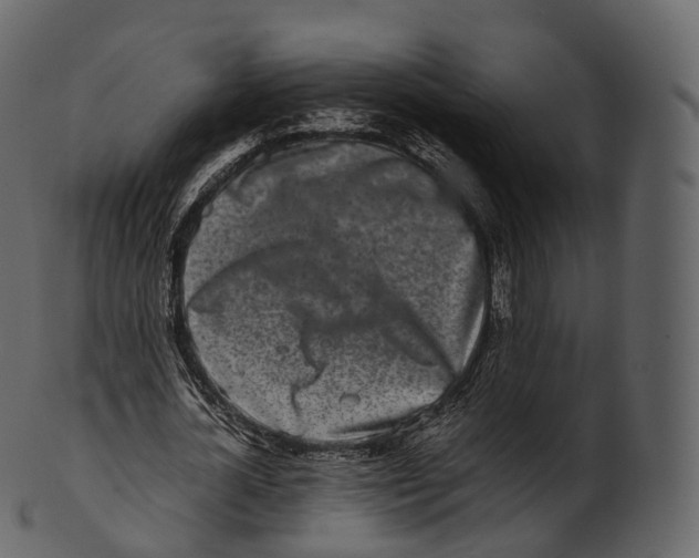 X0000100490724200807031915