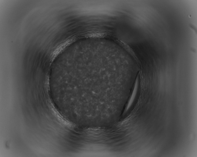 X0000100490725200807031915