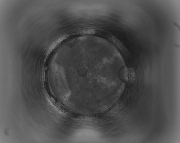 X0000100490726200807031915