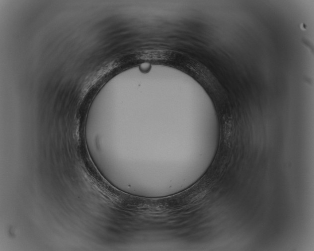 X0000100490727200807031915