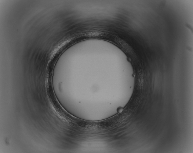 X0000100490728200807031915