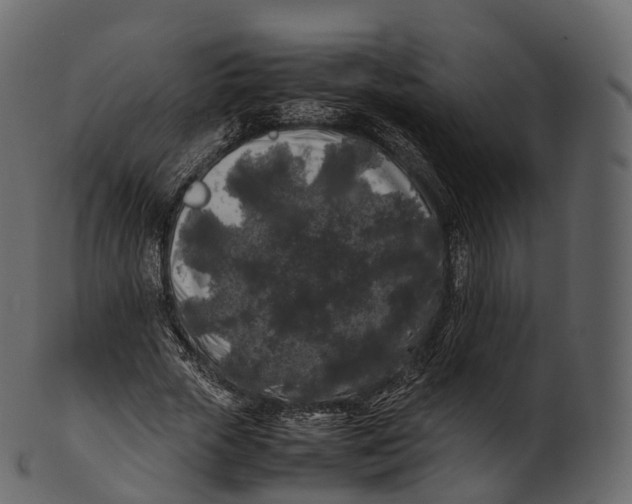 X0000100490729200807031915