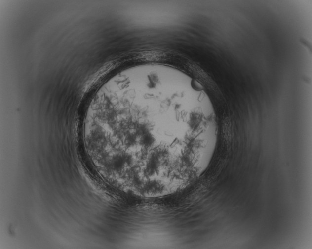 X0000100490730200807031915