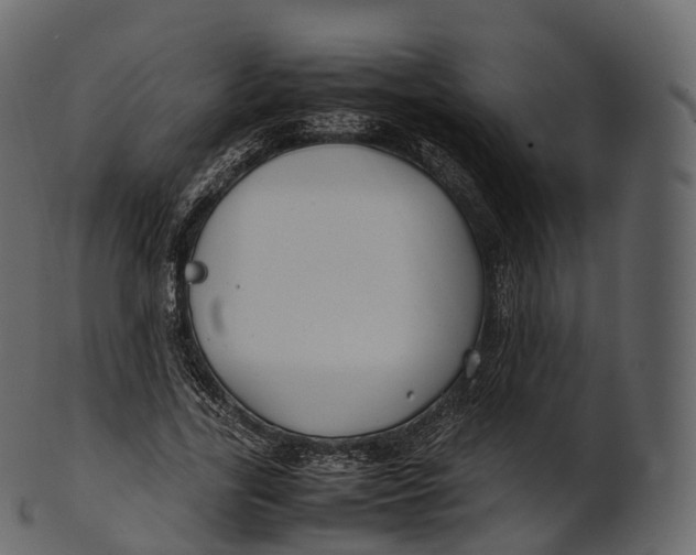 X0000100490731200807031916