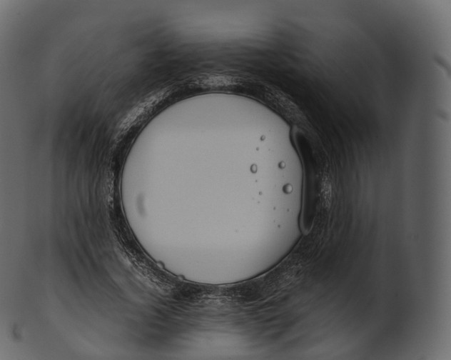 X0000100490732200807031916