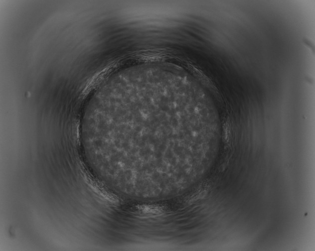 X0000100490733200807031916