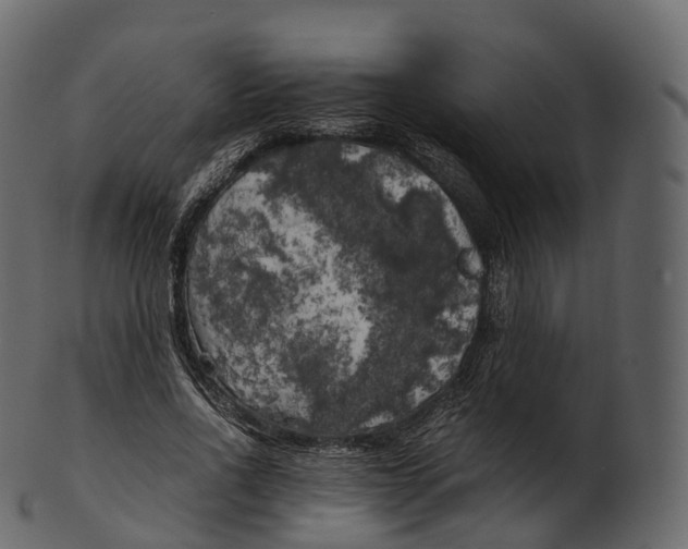 X0000100490734200807031916