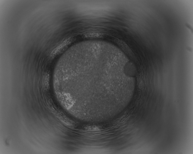 X0000100490735200807031916